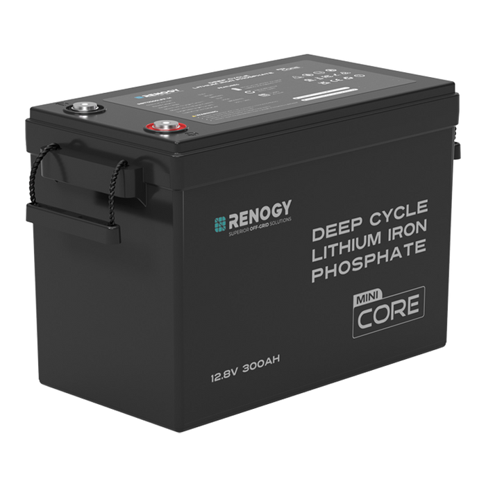 Renogy Lithium Iron Phosphate Battery 