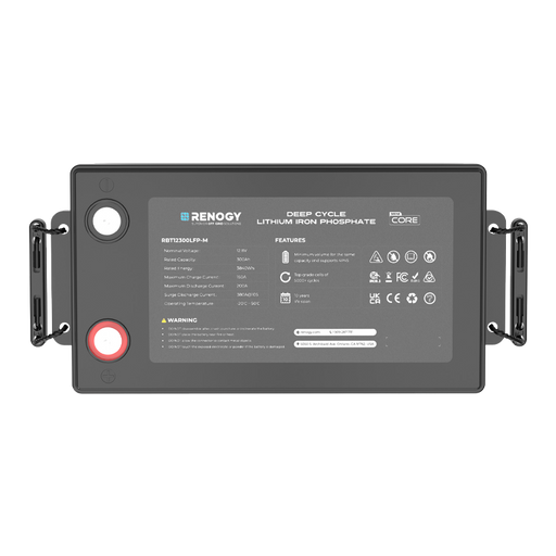 Renogy battery management system 